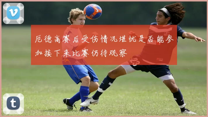 厄德高赛后受伤情况堪忧是否能参加接下来比赛仍待观察