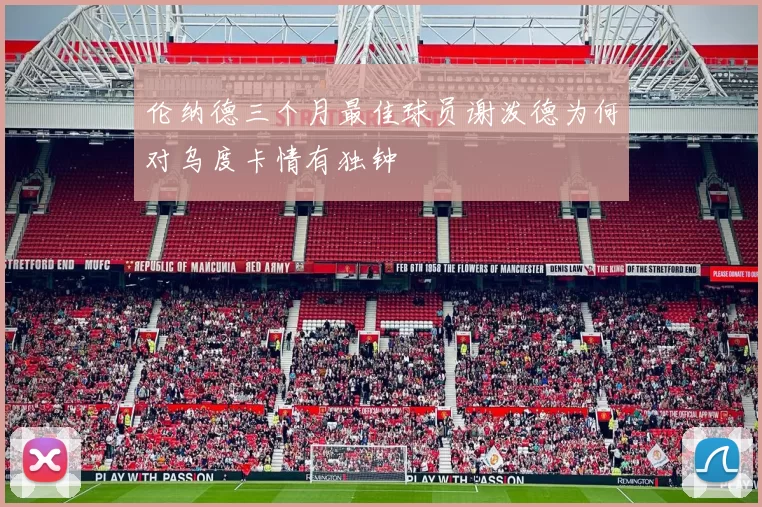 伦纳德三个月最佳球员谢泼德为何对乌度卡情有独钟