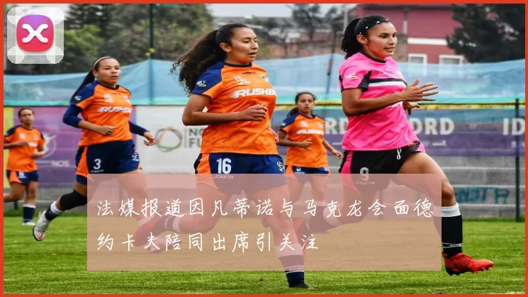 法媒报道因凡蒂诺与马克龙会面德约卡夫陪同出席引关注